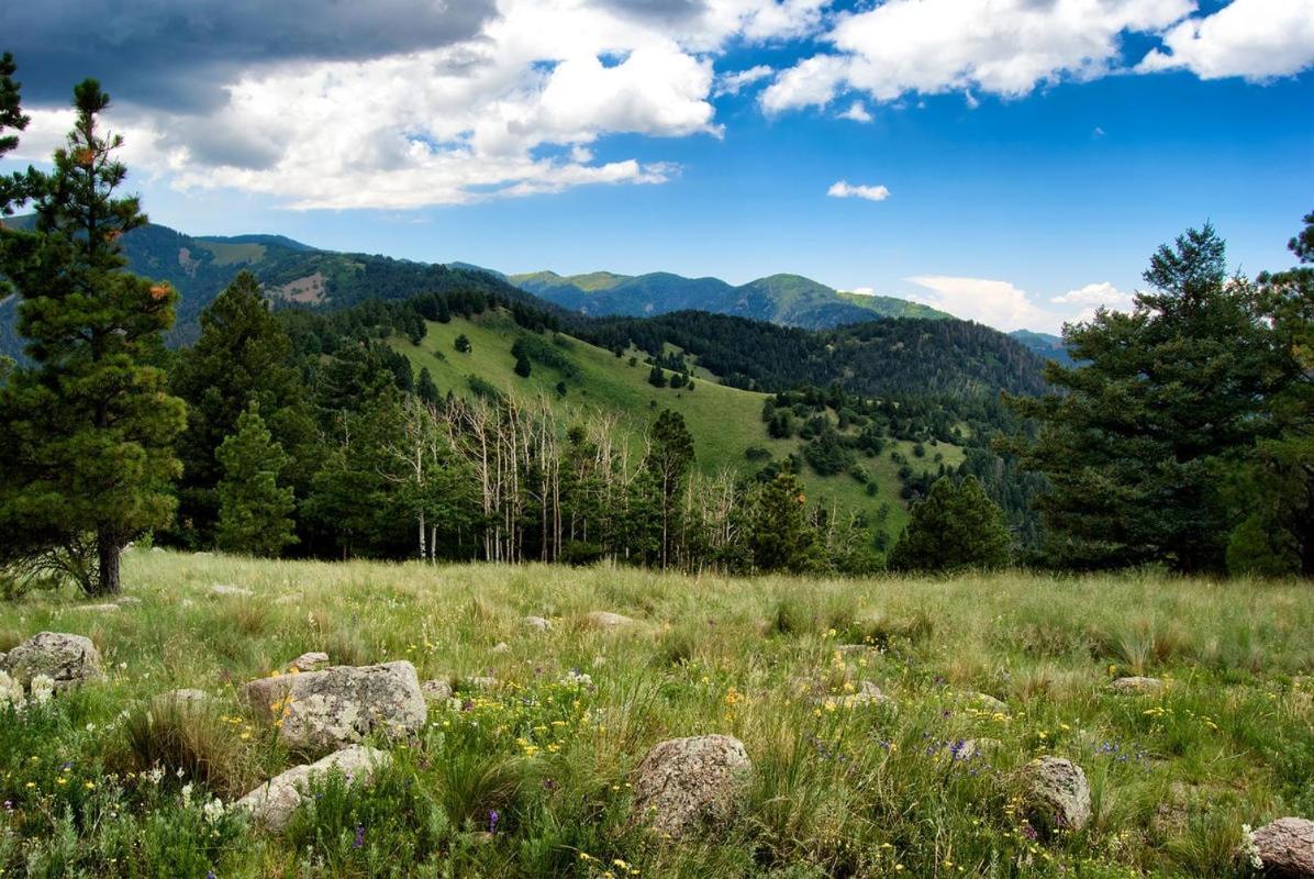 Cozy Cabin, 2 Bedrooms, Fireplace, Midtown, Sleeps 5 Ruidoso Exterior photo